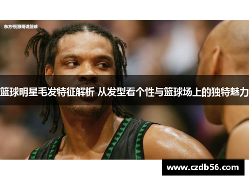 篮球明星毛发特征解析 从发型看个性与篮球场上的独特魅力