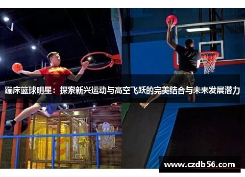蹦床篮球明星：探索新兴运动与高空飞跃的完美结合与未来发展潜力