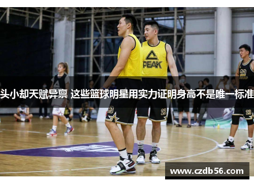 头小却天赋异禀 这些篮球明星用实力证明身高不是唯一标准